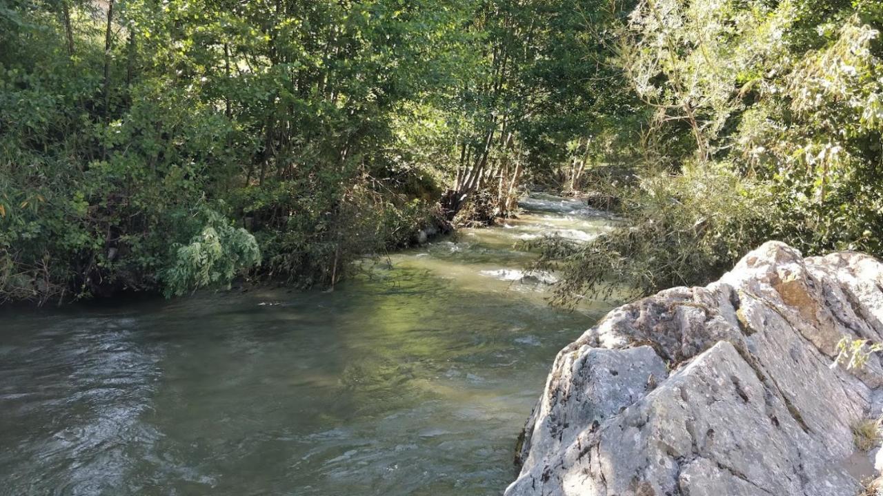 Maisonette En Cevennes Notre-Dame-de-la-Rouvière Eksteriør billede